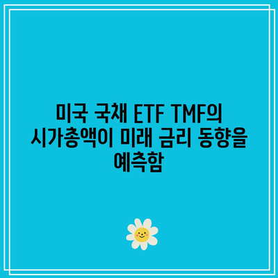 미국 국채 ETF TMF의 시가총액이 미래 금리 동향을 예측함