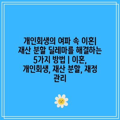 개인회생의 여파 속 이혼| 재산 분할 딜레마를 해결하는 5가지 방법 | 이혼, 개인회생, 재산 분할, 재정 관리