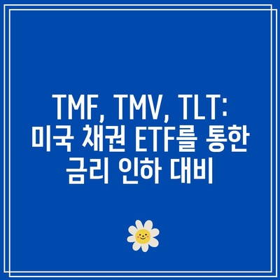 TMF, TMV, TLT: 미국 채권 ETF를 통한 금리 인하 대비