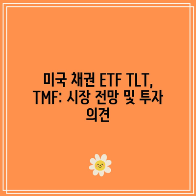 미국 채권 ETF TLT, TMF: 시장 전망 및 투자 의견