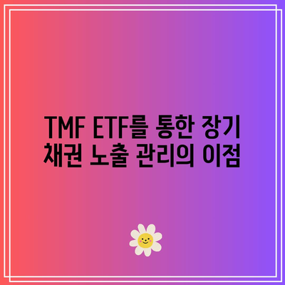 TMF ETF를 통한 장기 채권 노출 관리의 이점