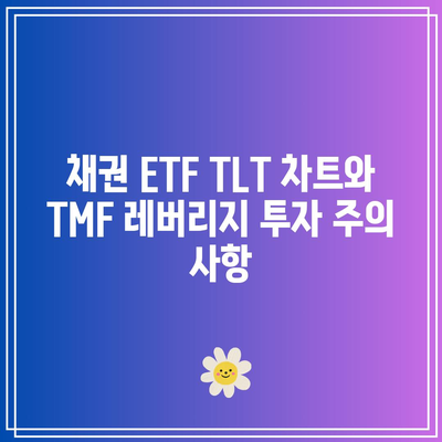 채권 ETF TLT 차트와 TMF 레버리지 투자 주의 사항