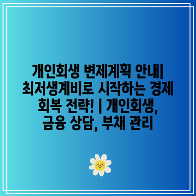 개인회생 변제계획 안내| 최저생계비로 시작하는 경제 회복 전략! | 개인회생, 금융 상담, 부채 관리