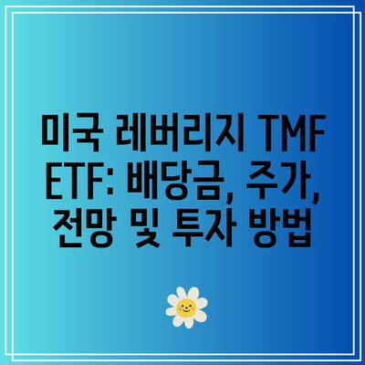 미국 레버리지 TMF ETF: 배당금, 주가, 전망 및 투자 방법