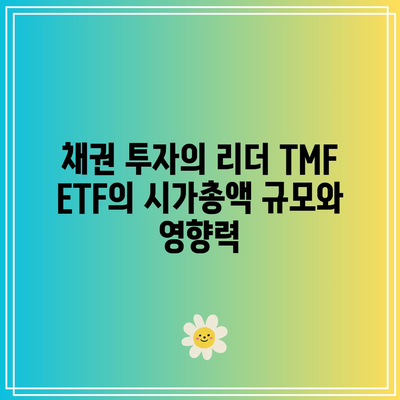 채권 투자의 리더 TMF ETF의 시가총액 규모와 영향력