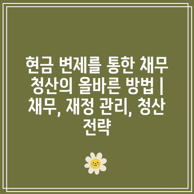 현금 변제를 통한 채무 청산의 올바른 방법 | 채무, 재정 관리, 청산 전략