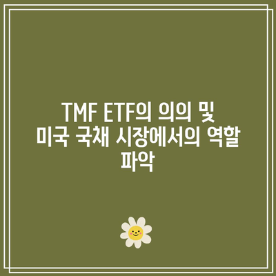 TMF ETF의 의의 및 미국 국채 시장에서의 역할 파악