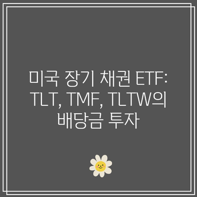 미국 장기 채권 ETF: TLT, TMF, TLTW의 배당금 투자