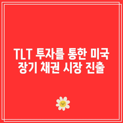 TLT 투자를 통한 미국 장기 채권 시장 진출