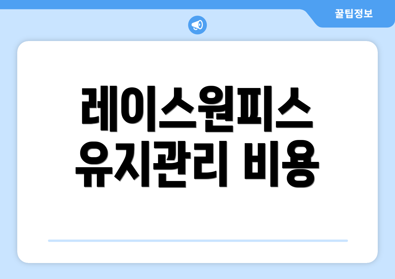 레이스원피스 유지관리 비용