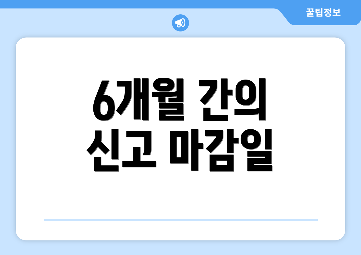 6개월 간의 신고 마감일