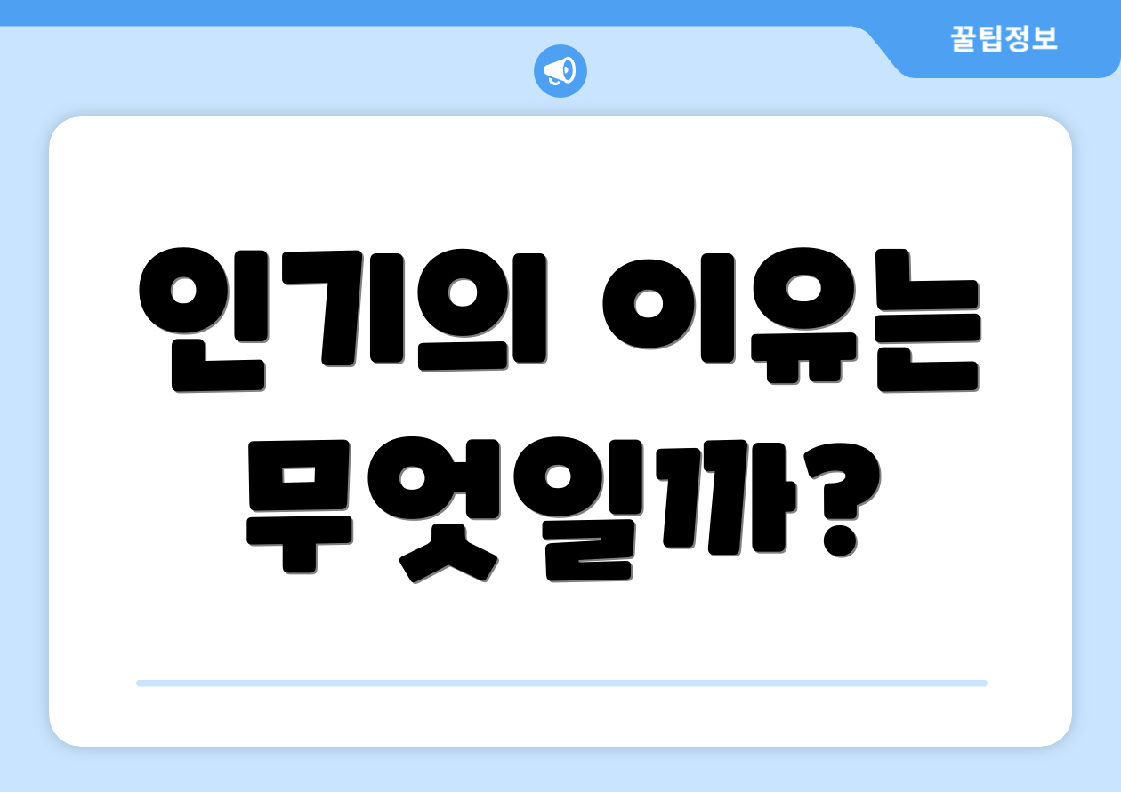 인기의 이유는 무엇일까?