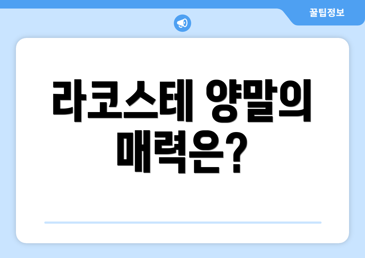 라코스테 양말의 매력은?