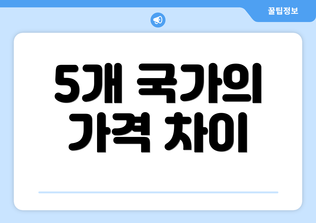 5개 국가의 가격 차이