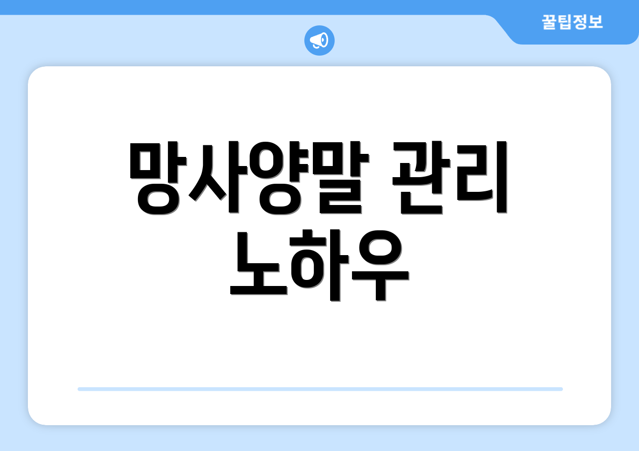 망사양말 관리 노하우