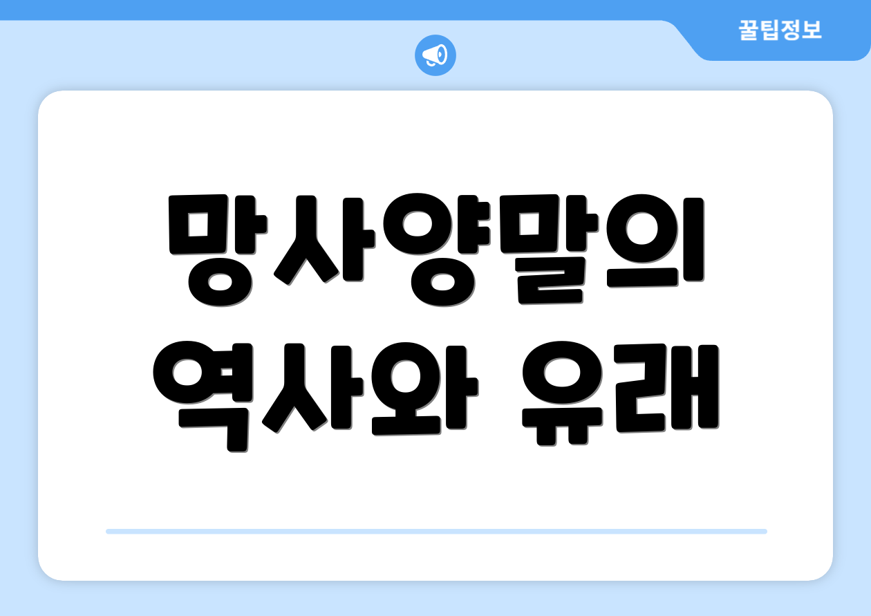 망사양말의 역사와 유래