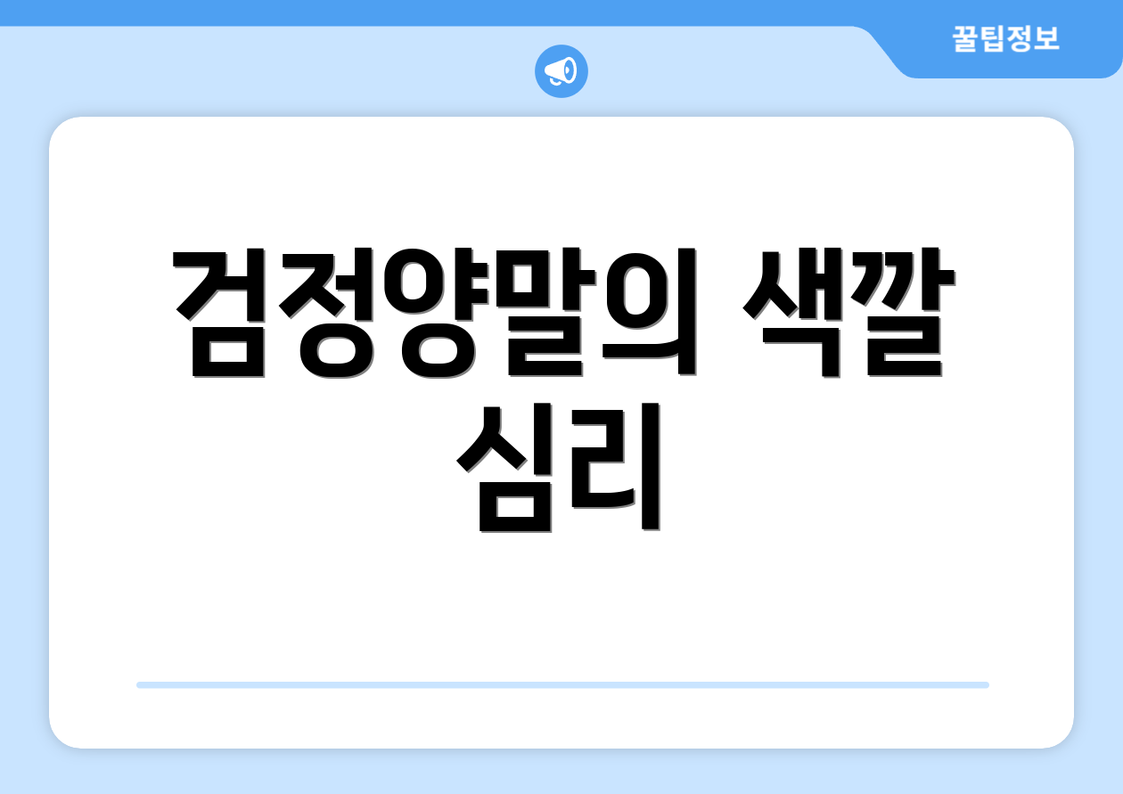 검정양말의 색깔 심리