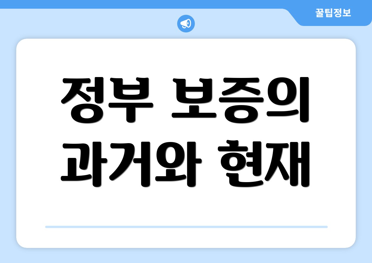 정부 보증의 과거와 현재
