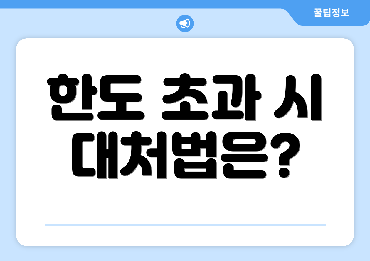 한도 초과 시 대처법은?