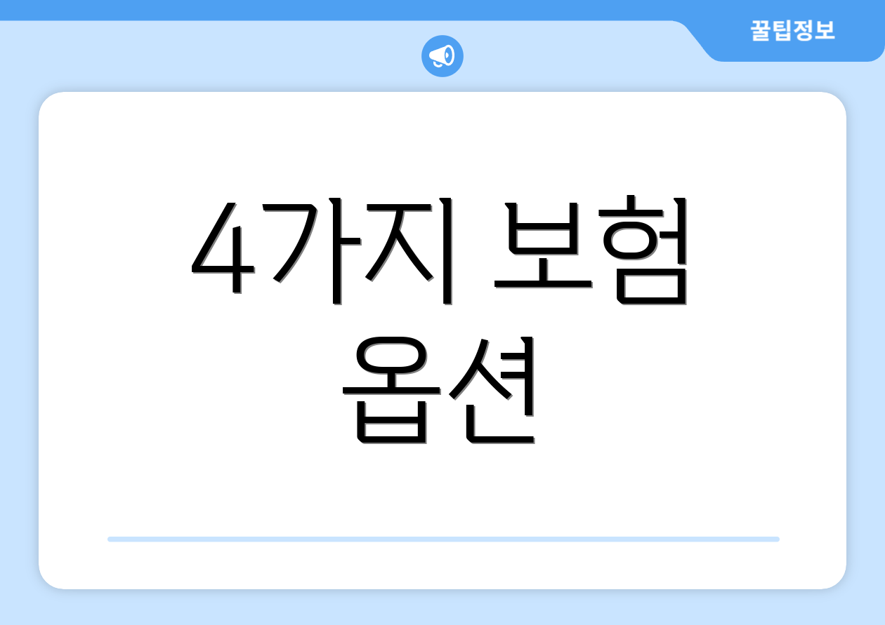4가지 보험 옵션