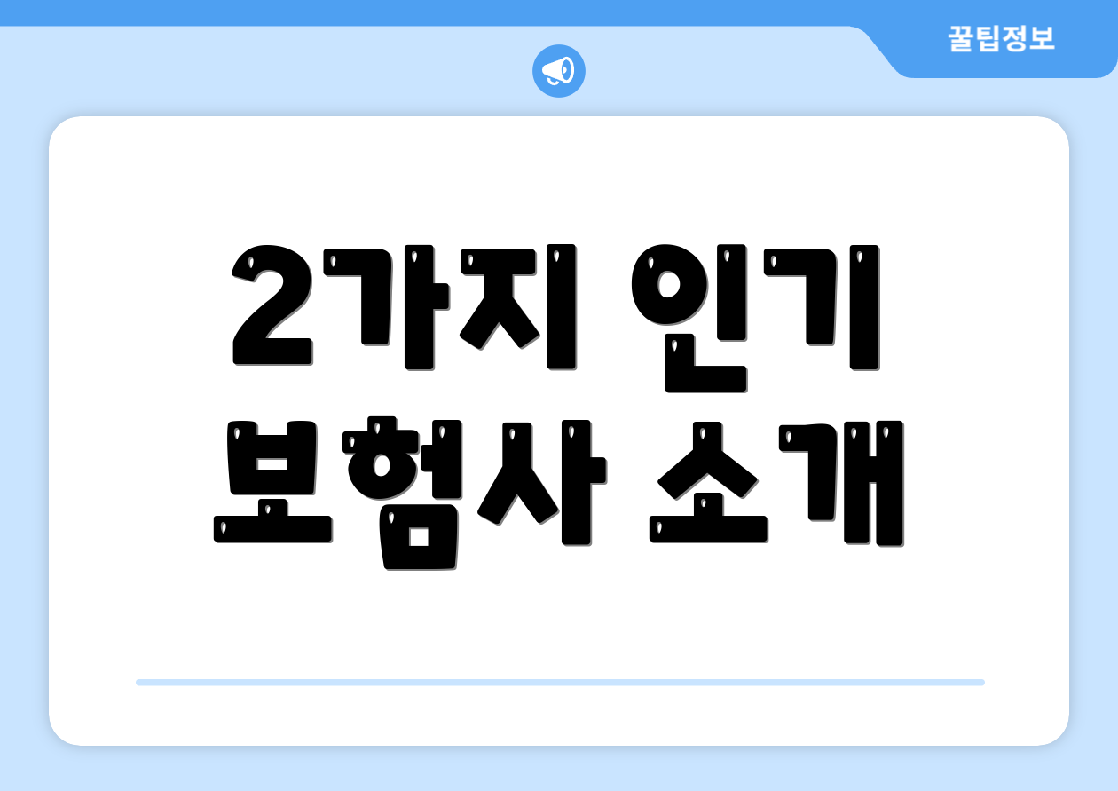 2가지 인기 보험사 소개