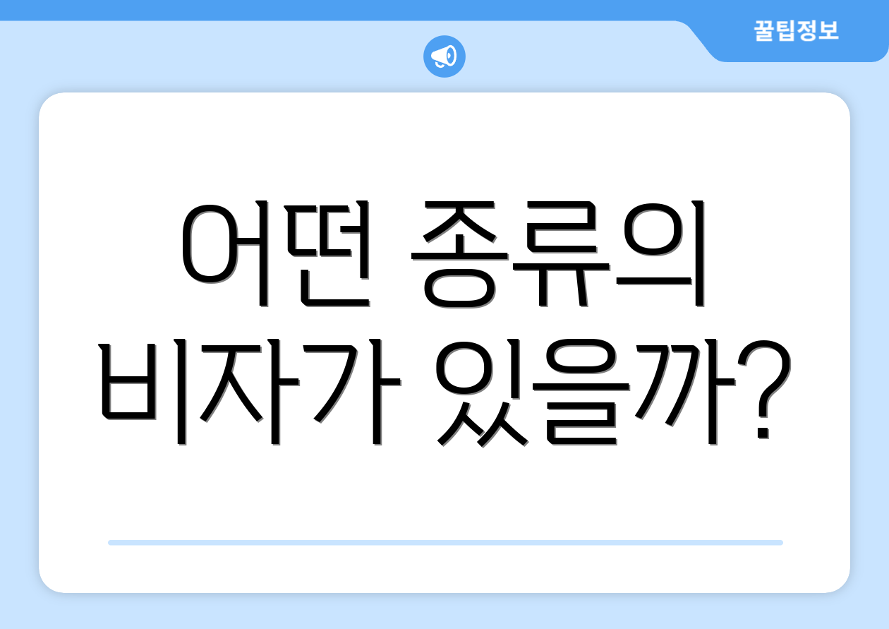 어떤 종류의 비자가 있을까?