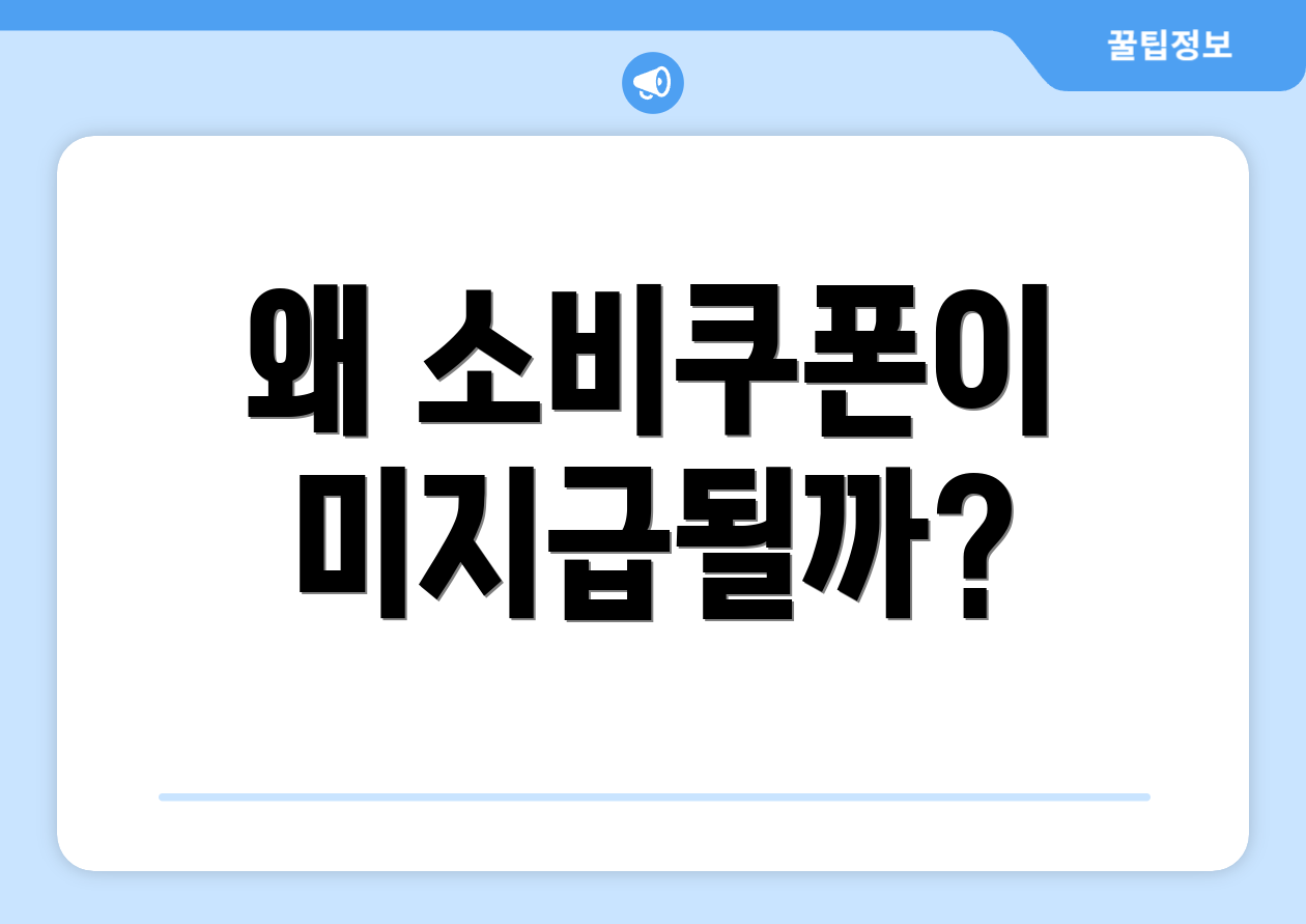 왜 소비쿠폰이 미지급될까?