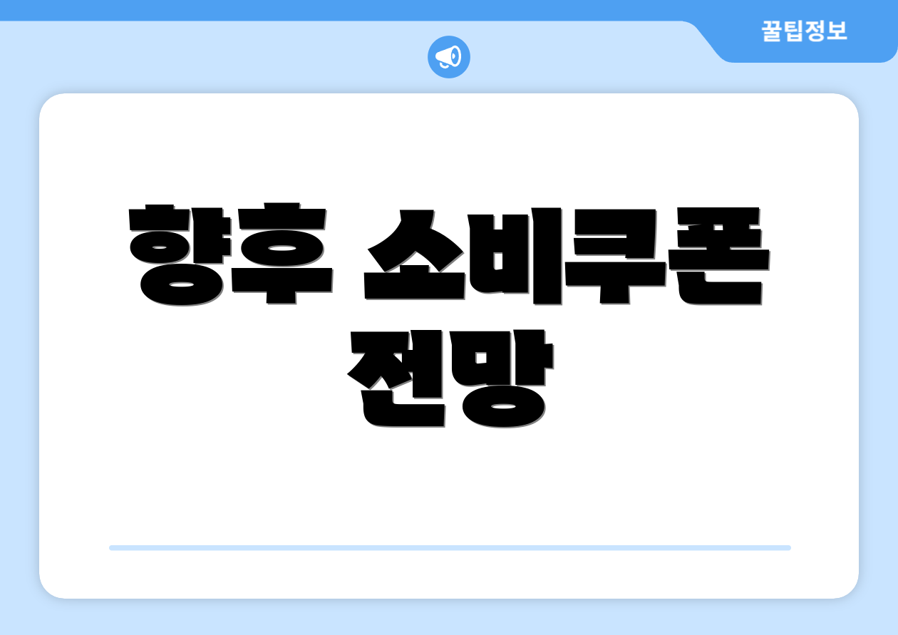 향후 소비쿠폰 전망