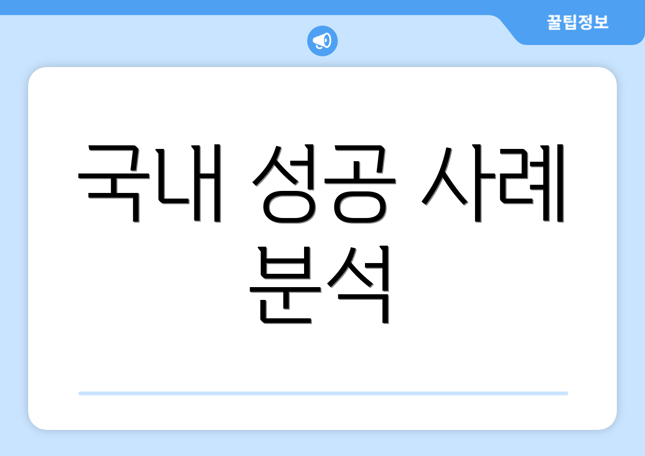 국내 성공 사례 분석