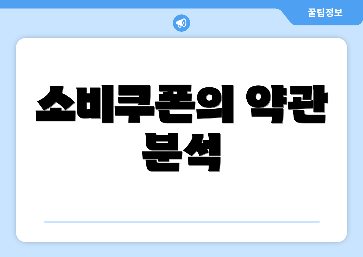 소비쿠폰의 약관 분석