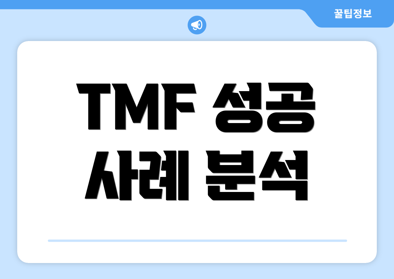 TMF 성공 사례 분석