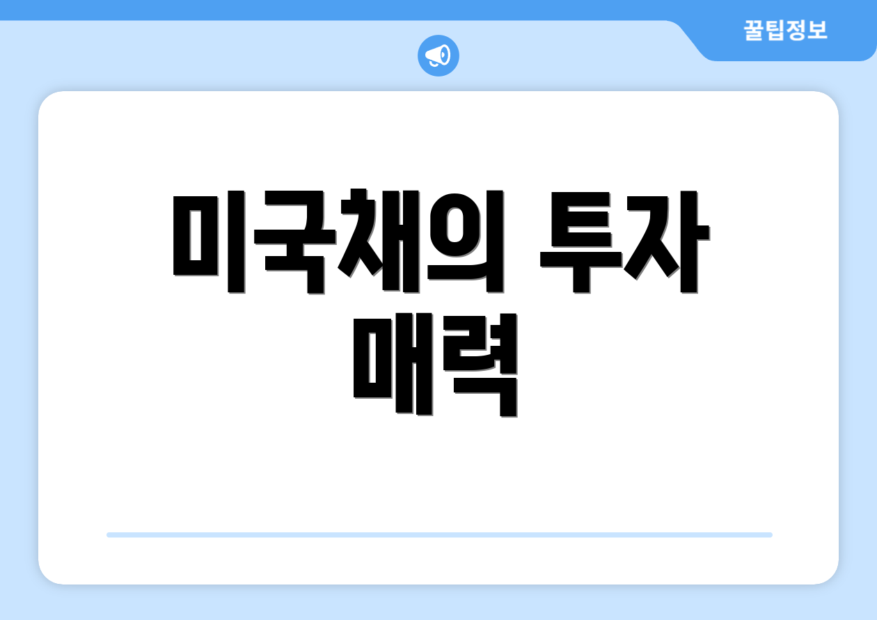 미국채의 투자 매력