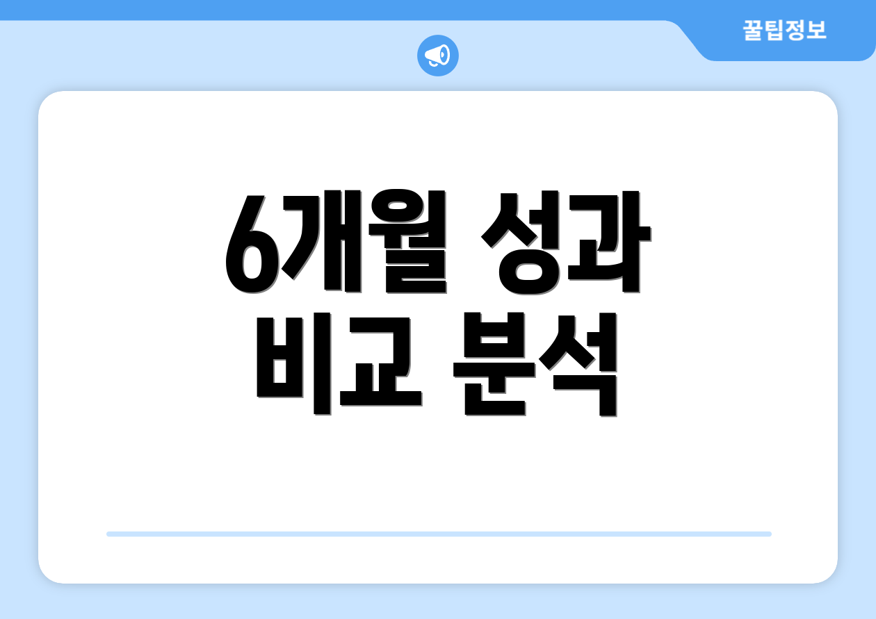 6개월 성과 비교 분석