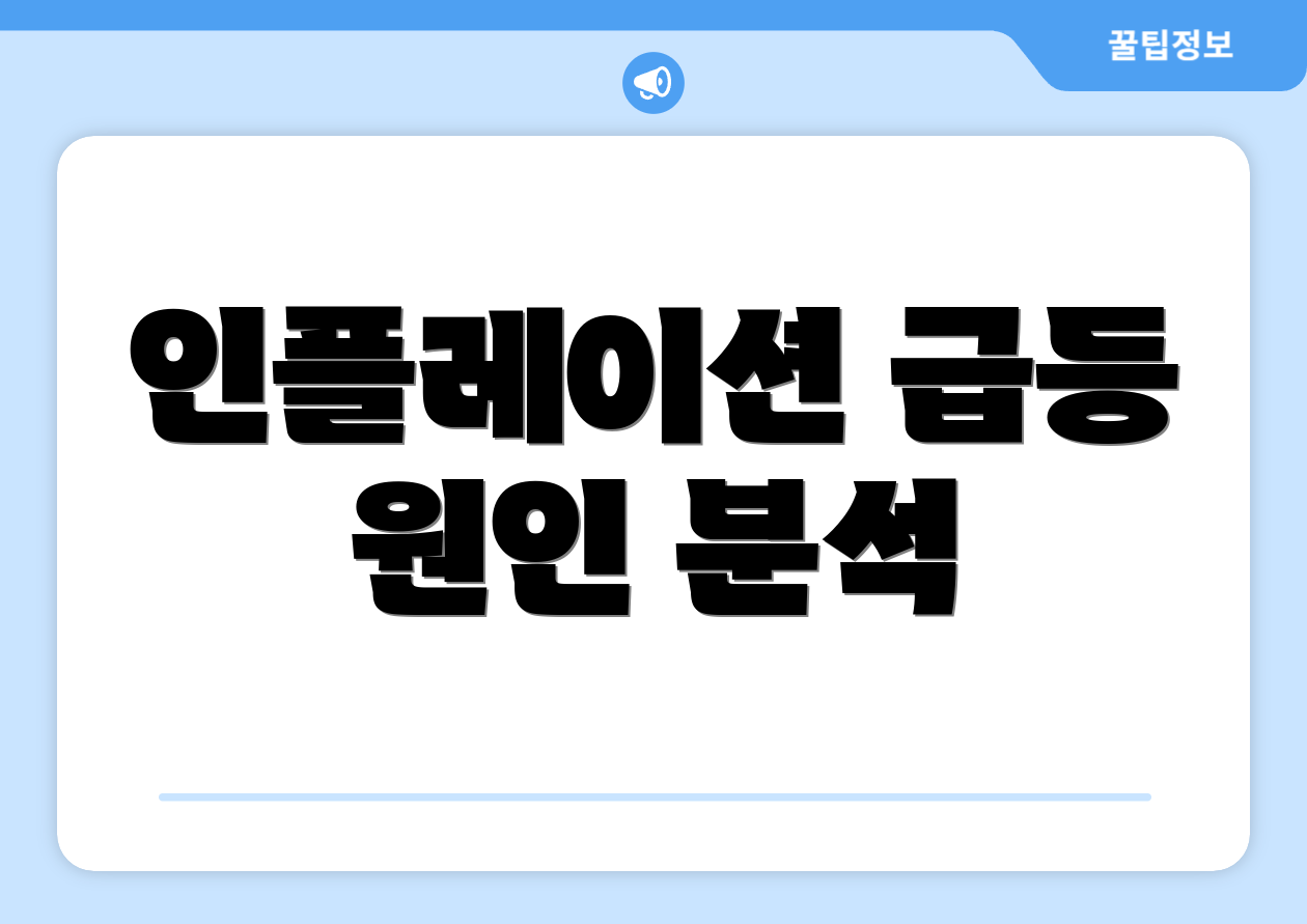 인플레이션 급등 원인 분석