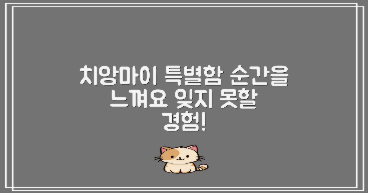 치앙마이에서 특별한 순간을 느껴요