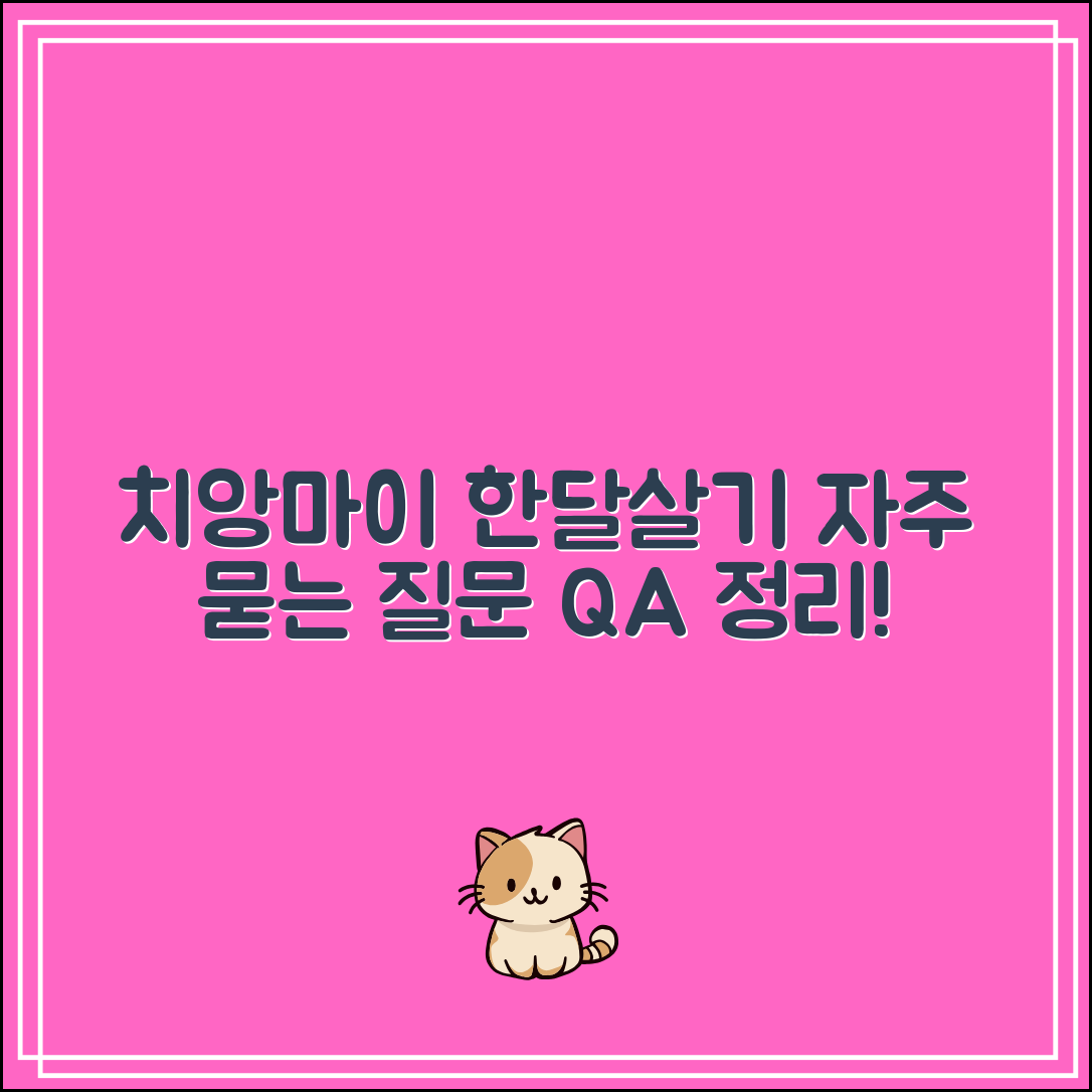 치앙마이 한달살기 Q&A｜자주 묻는 질문 정리