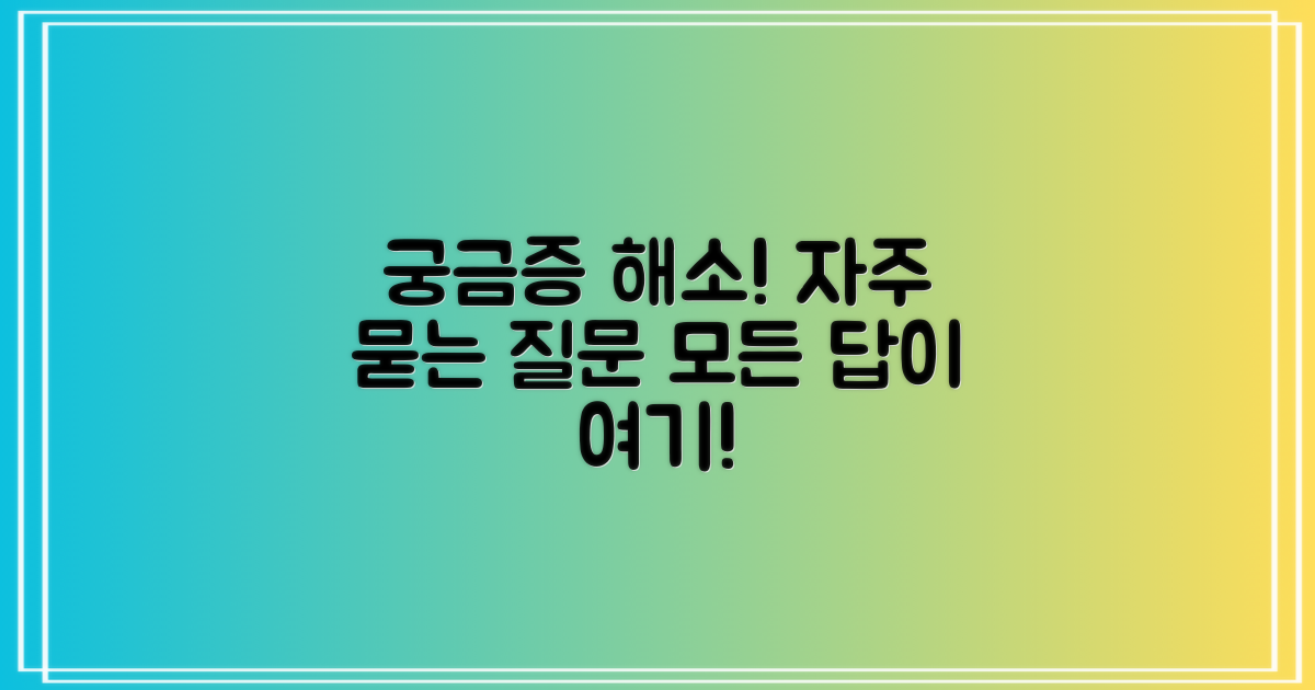 자주 묻는 질문