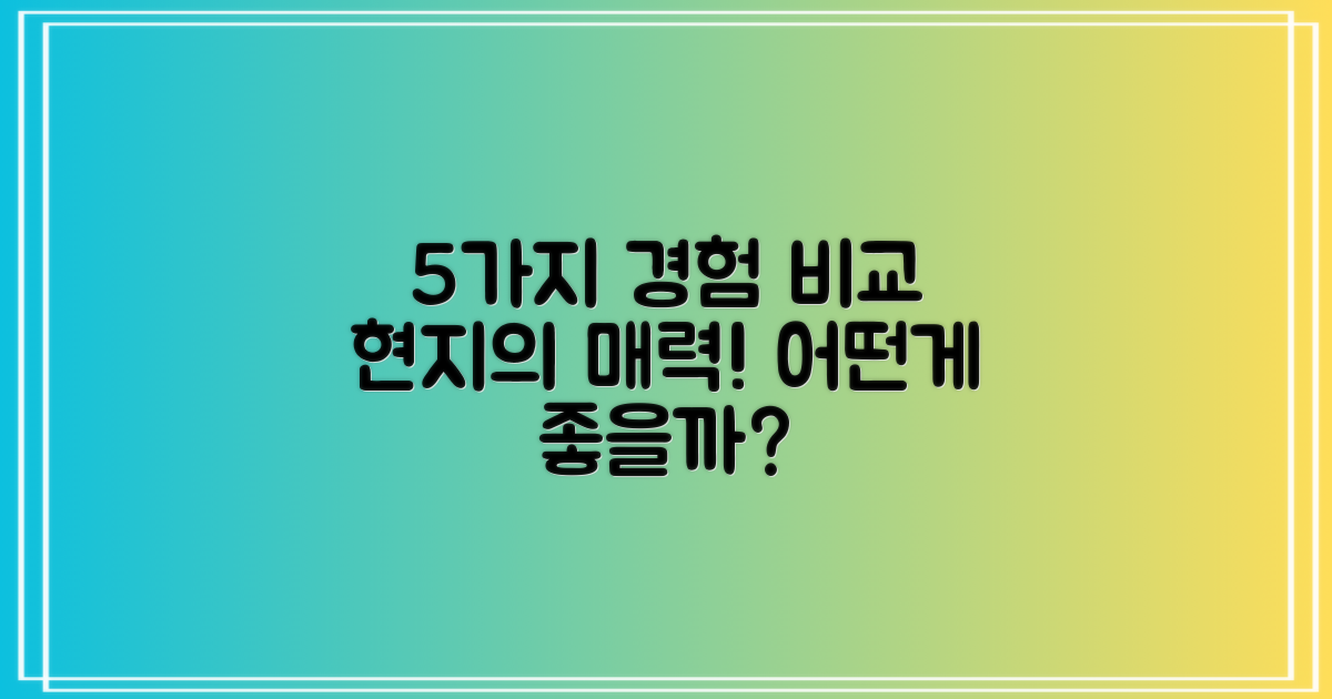 5가지 현지 경험 비교