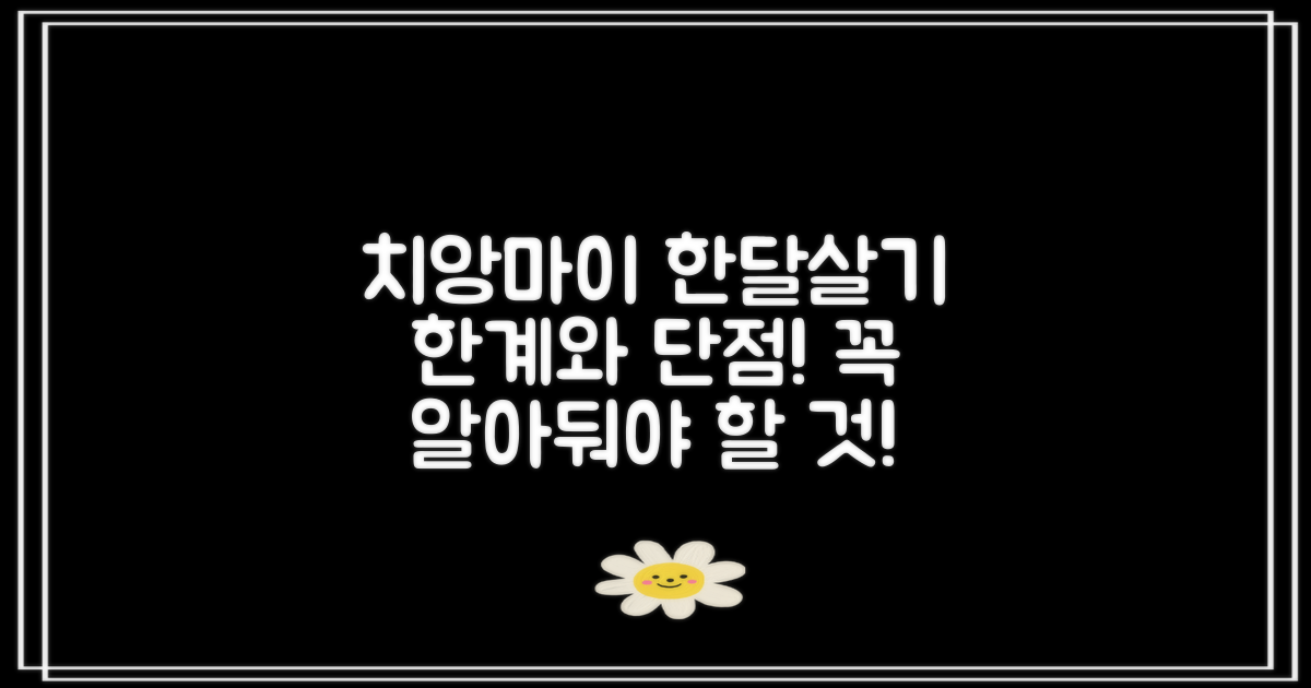 단점: 치앙마이 한달살기의 한계