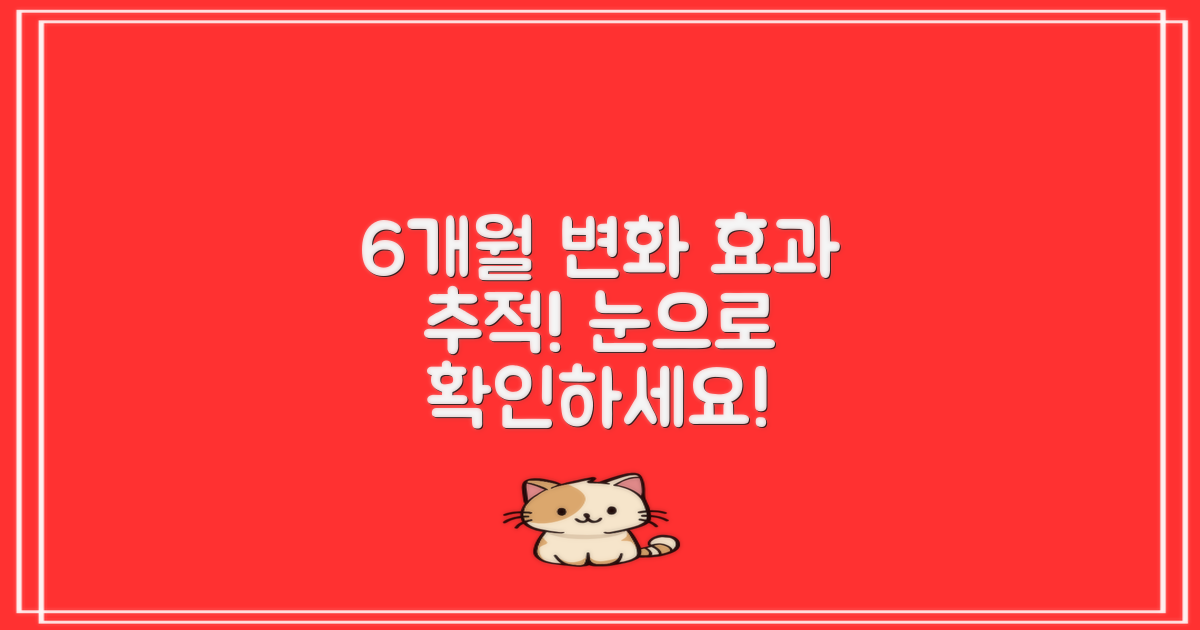 6개월 효과 변화 추적